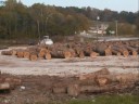 Logging in Southern Indiana