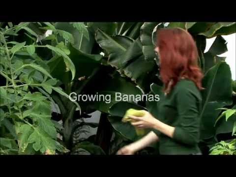 how to drain planters