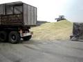 ford 7810 en 8210 in de mais