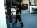 WING CHUN WOODEN DUMMY 116 MOVEMENT FORM