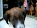 lola de gelves01