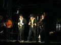 felino musical en vivo
