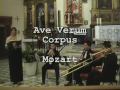 Camerata Bianco - Ave Verum Corpus