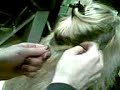 keratinli-boncuklu-kaynak.html