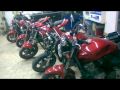 HONDA HORNET 600.mpg