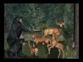 The Animals' Pain - The Revenge of the Deer