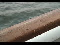 Cruising Alaska 2008