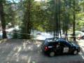 Tall Pines 2008, Iron Bridge, Reilly/Felice R32