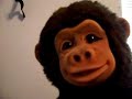 monkey gone emo monkey gone emo
