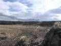 Cupped and Committed! Canada Geese hunting - Wyoming style