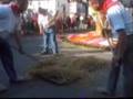 videos de Oogsttapijt-Moorsel
