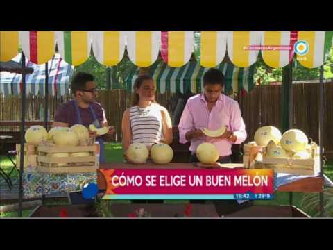 Todo sobre el melón