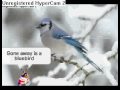 Selena Gomez & The Scene - Winter Wonderland CPMV