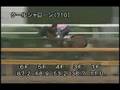 videos de [調教] 080723 クールシャローン 「北九州短距離ステークス」前追い切り