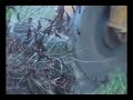 Stump Grinding
