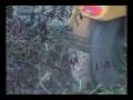 Stump Grinding