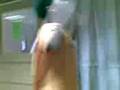 videos de Kkb tondo 