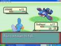 Mudkip Pokemontage