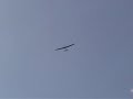 Grob semi-scale glider