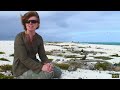 EPISODE 2 - The Precious Islands