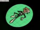 Danny Phantom iCarly Theme Song Danny Phantom iCarly Theme Song