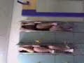 getting into lockers between events at a skating competition!