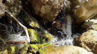 VIDEOS + 44 Avakas George Trail Paphos - Water features Slow Modus 18.06.2020 006