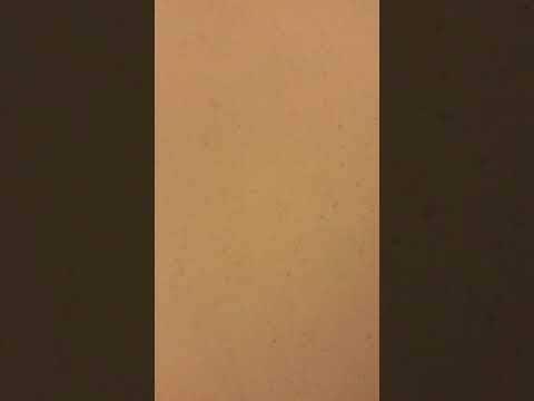 Motel 6 - Dont go to phillips highway location