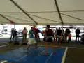 K1 Thaibox Show @ Body Move Wellness Sonntag Paulo Balicha 1