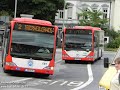 Busbildersammlung Trier