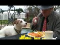 MOTHERS DAY  - Dougie Damone song 'Hello Mum'