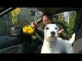 MOTHERS DAY  - Dougie Damone song 'Hello Mum'