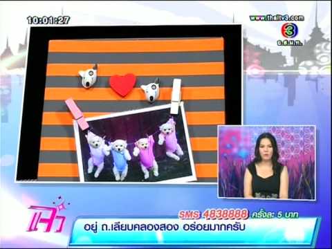 แจ๋วพารวย - Tommy Gift เริ่มผลิตและออกแบบงานชุดกระดานแม่เหล็กมาตั้งแต่ปี 2551 ลงขายตามงาน Gift Fair, Indy, Handmade...