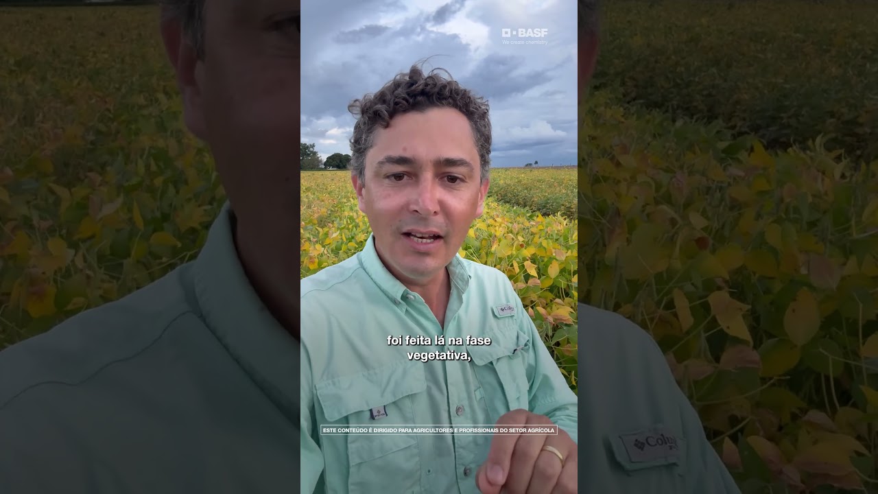 Atrasar as primeiras aplicações pode custar caro.