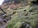 Ireland Nov 2008