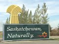 memories of a saskatchewan country vacation are fond and vivid. on farms you may help bring the cows home, feed the chickens, go hiking, berry-picking, wildlife viewing, or go for wagon or sleigh rides. children especially love the farm with its pets and livestock, wide-open spaces and interesting chores. one of the fringe benefits is great home cooking. you're likely to find the table sporting homemade bread and buns, fresh fruit and house specialties, right from the farm.