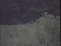 Most Authentic ghost footage of all time???