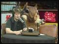 Classic Game Room - Mark & Dave Interview Part 1