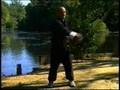 Qigong for Beginners