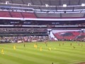 mi pasion azulcrema