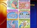 videos de Stem Cell iMovie_0001.wmv