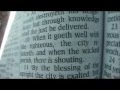 Proverbs 11