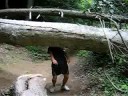 Doing the limbo