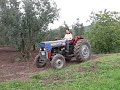Ali Massey Ferguson 240 Super\ Ali Massey Ferguson 240 Super\