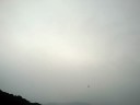 2008-11-02???-???????? 2008-11-02???-????????