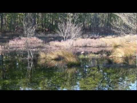 powerball nj powerball nj