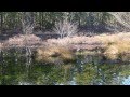 Mullica River in NJ Pinelands - YouTube