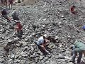 Dinosaurs Rock Fossil Dig Trilobites Dinosaurs Rock Fossil Dig Trilobites