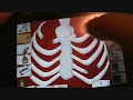 Amateur-Surgeon-Adul