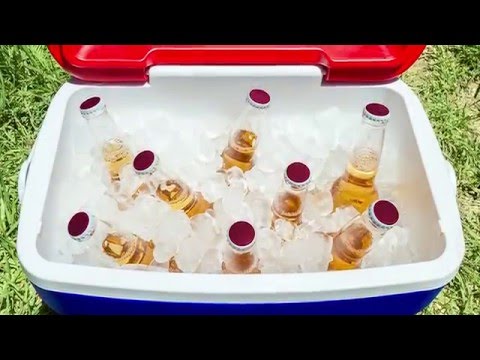 Kompressor Kühlboxen / Typen, Tests, Empfehlungen